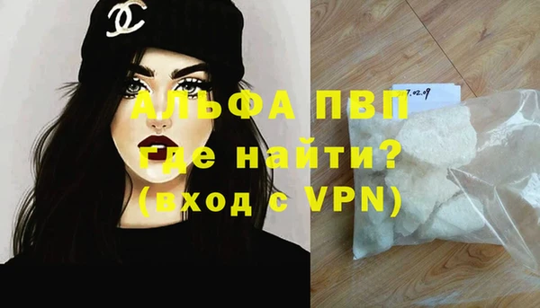 шишки Покачи