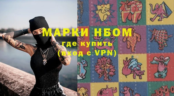 шишки Покачи