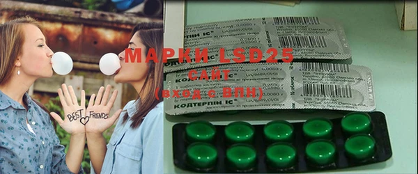 шишки Покачи