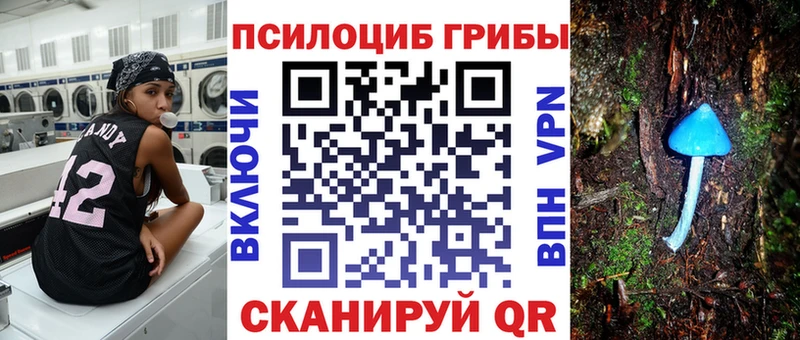 купить закладку  блэк спрут ссылка  Галлюциногенные грибы Magic Shrooms  Энем 